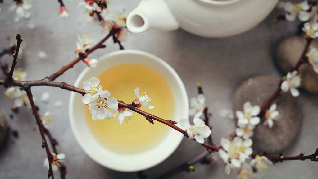 الشاي الأبيض: الشاي الرقيق والأنيق